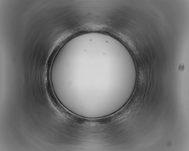 X0000096980582200802291148