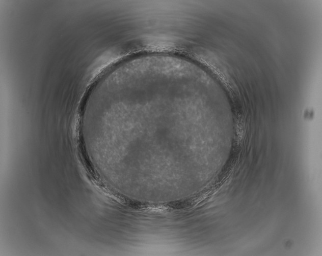 X0000096980583200802291148