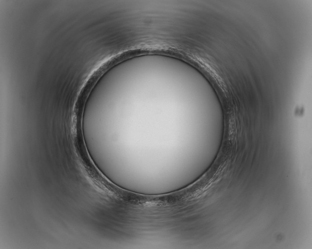 X0000096980584200802291148