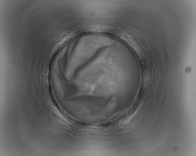 X0000096980585200802291148