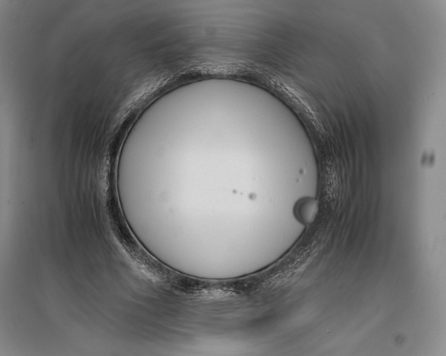 X0000096980586200802291148