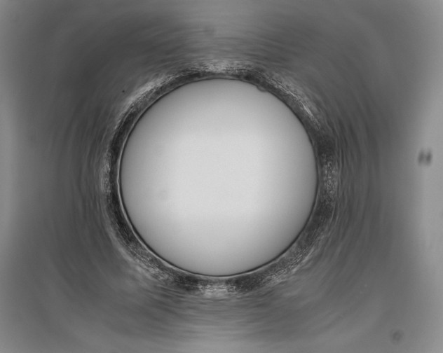 X0000096980587200802291148