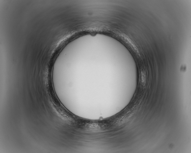 X0000096980588200802291148