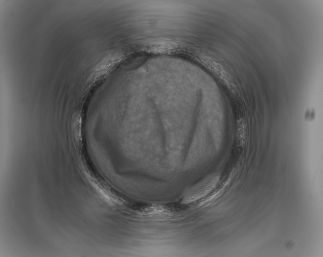 X0000096980589200802291148