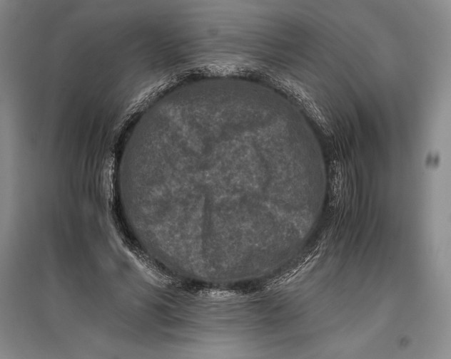 X0000096980590200802291148