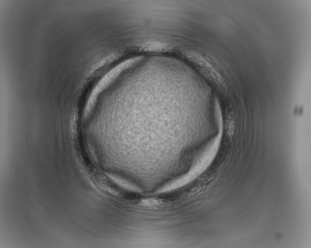 X0000096980591200802291148