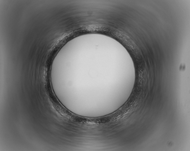 X0000096980592200802291148