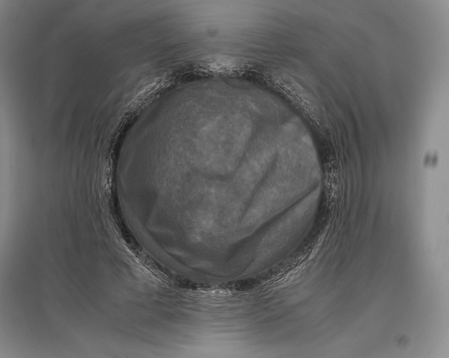 X0000096980593200802291148