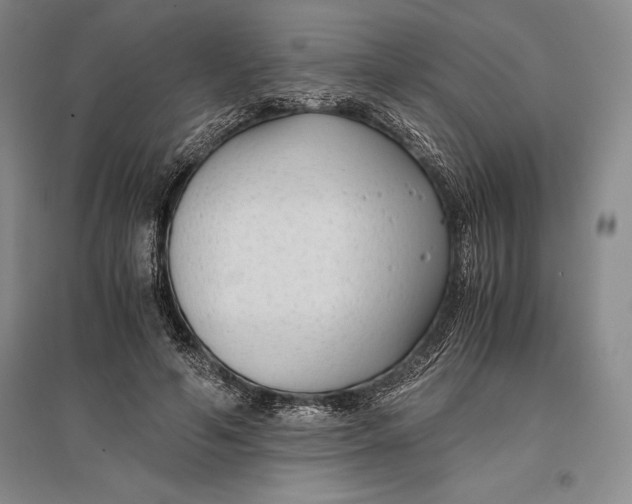 X0000096980594200802291148