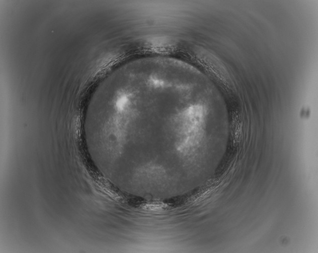 X0000096980595200802291148