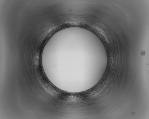 X0000096980596200802291147