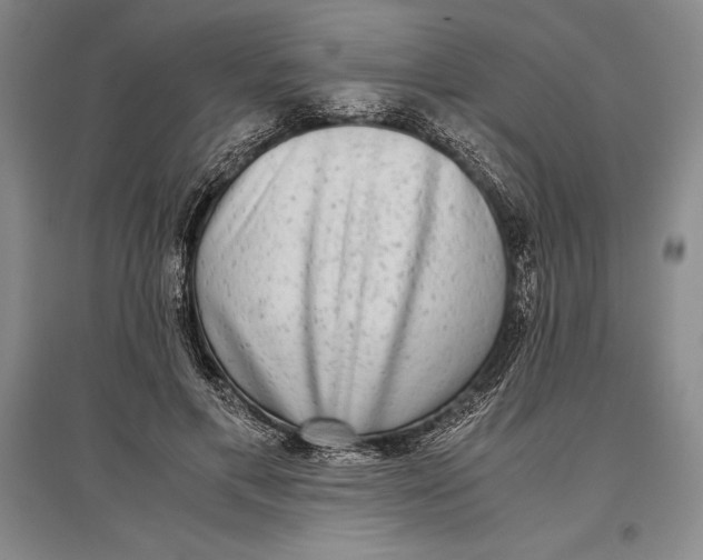 X0000096980597200802291147