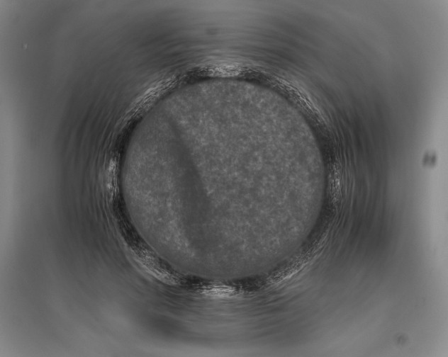 X0000096980598200802291147