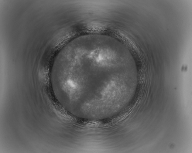 X0000096980599200802291147