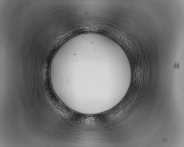 X0000096980600200802291147