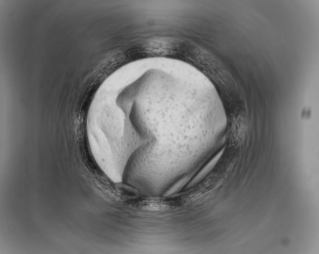 X0000096980601200802291147