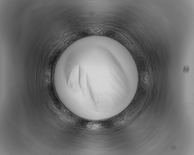 X0000096980602200802291147