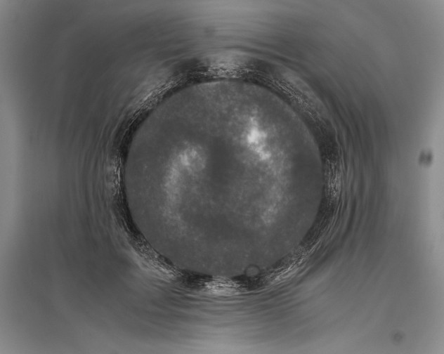 X0000096980603200802291147