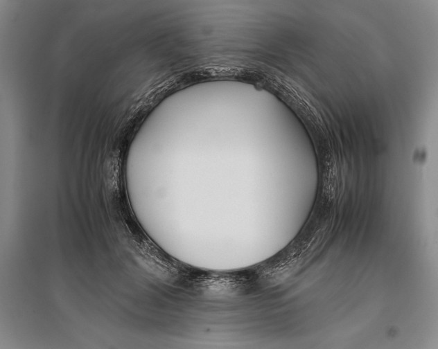 X0000096980604200802291147