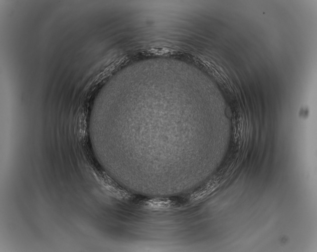 X0000096980606200802291147