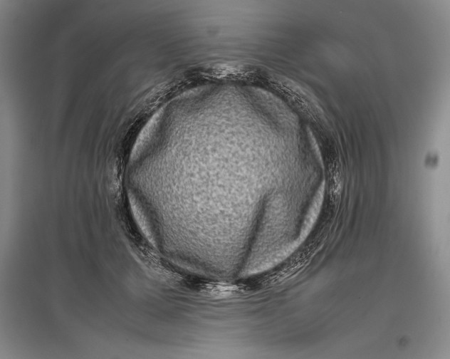 X0000096980607200802291147