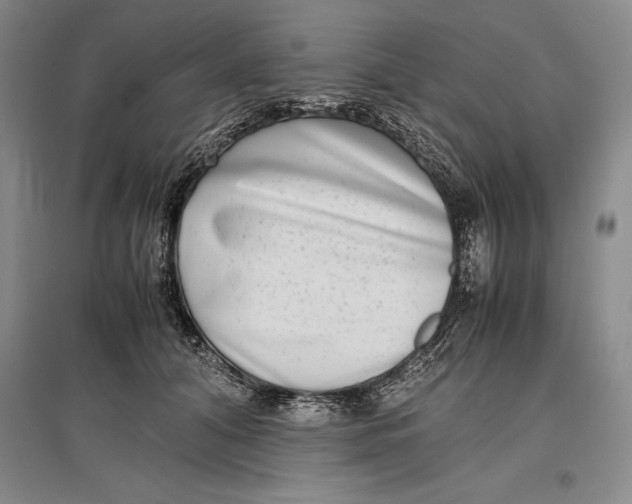 X0000096980608200802291147