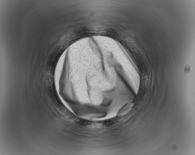 X0000096980609200802291147