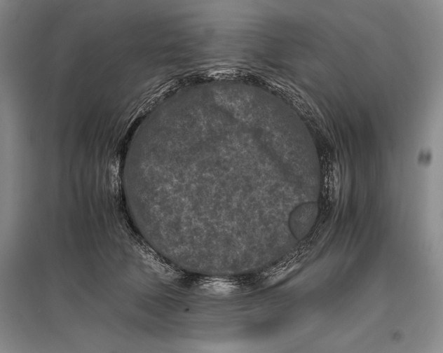 X0000096980610200802291147