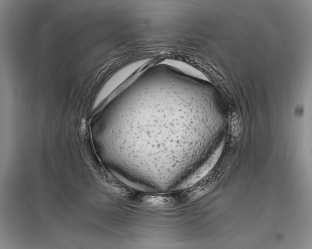 X0000096980611200802291147