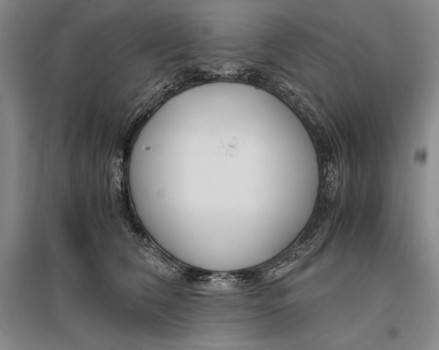 X0000096980612200802291147