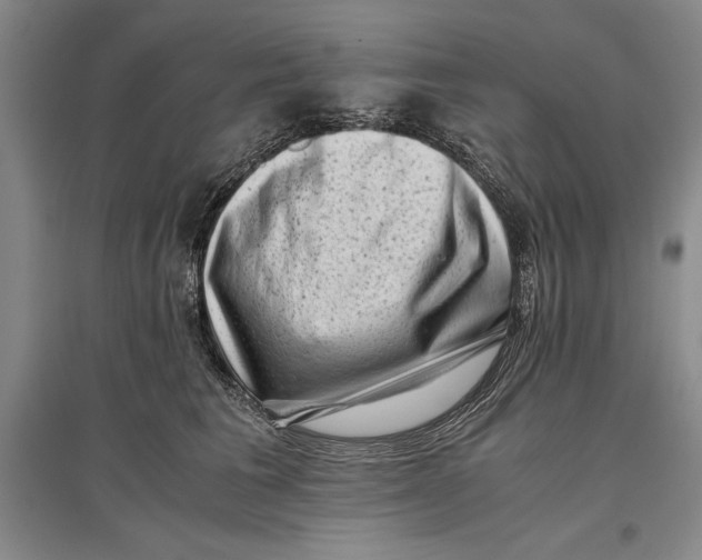 X0000096980613200802291147