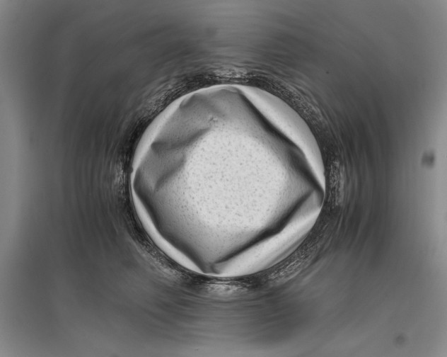 X0000096980614200802291147