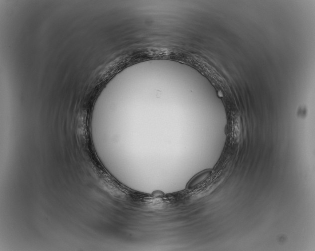 X0000096980616200802291147