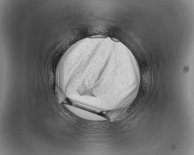 X0000096980617200802291147