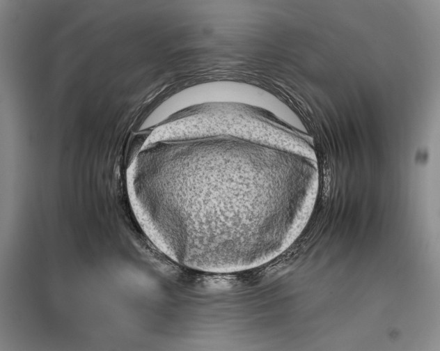 X0000096980618200802291147