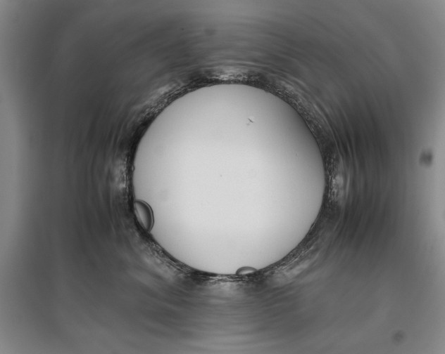 X0000096980620200802291147