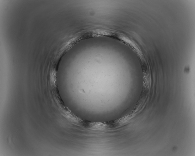 X0000096980621200802291147