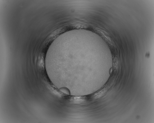 X0000096980622200802291147