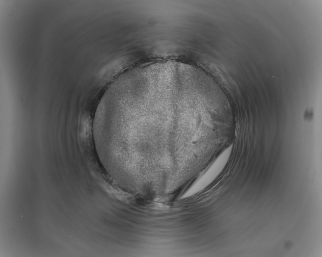 X0000096980623200802291147