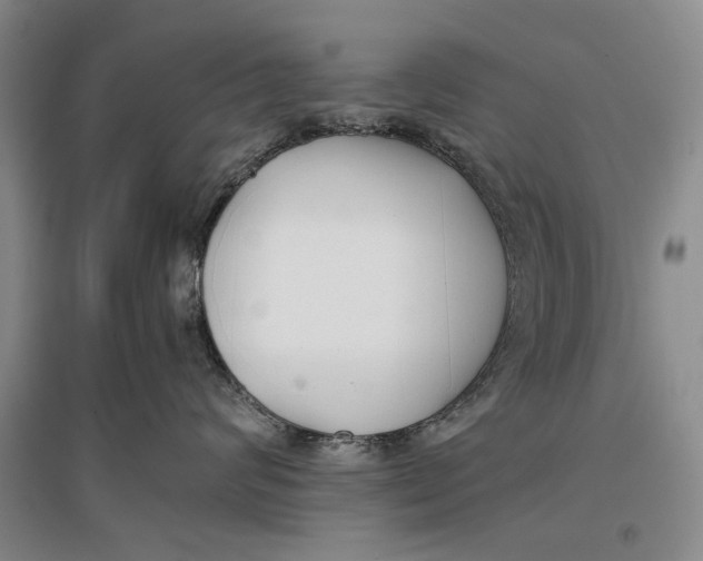 X0000096980624200802291147