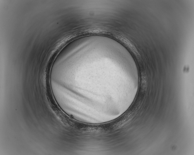 X0000096980626200802291146