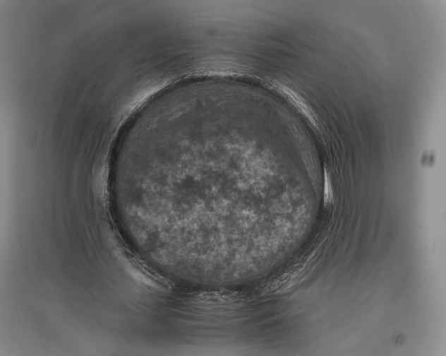 X0000096980627200802291146