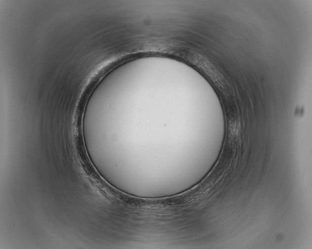 X0000096980628200802291146