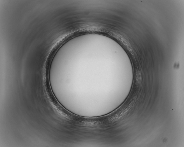 X0000096980629200802291146