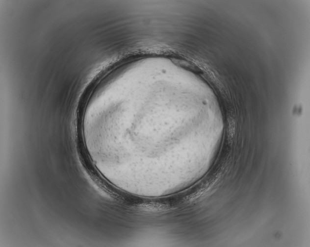 X0000096980630200802291146