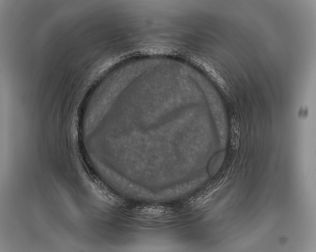 X0000096980631200802291146