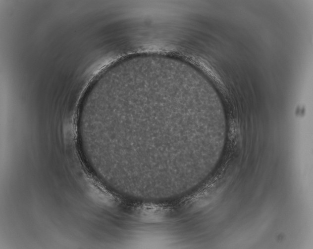 X0000096980632200802291147