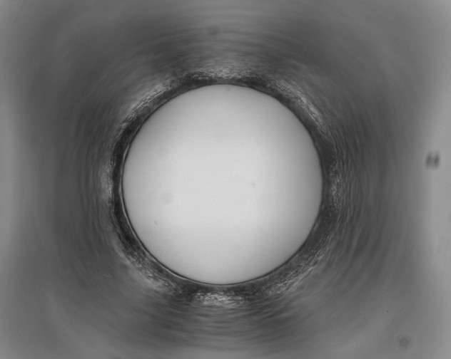 X0000096980635200802291147