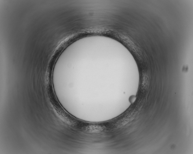 X0000096980636200802291147