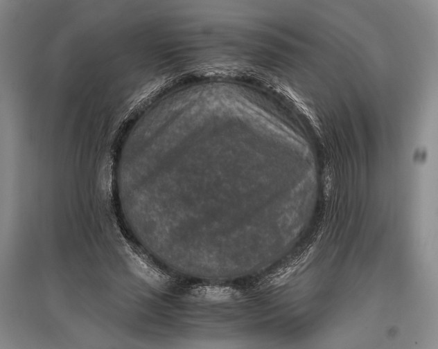 X0000096980637200802291147